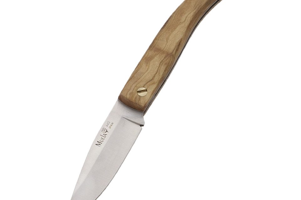 51MU P8OL 19cm 19991